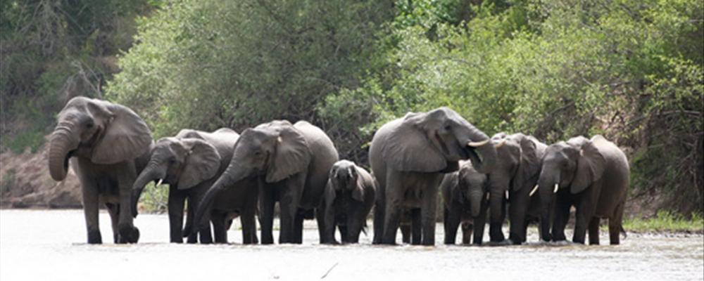 luxury big 5 safari, tanzania